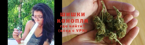 гидра Заволжье