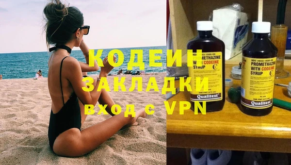 прущие грибы Абинск