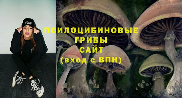 прущие грибы Абинск