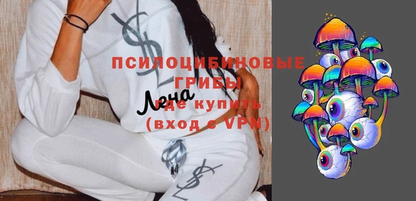 прущие грибы Абинск