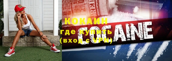 прущие грибы Абинск