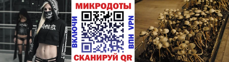 магазин  наркотиков  Псков  Псилоцибиновые грибы Psilocybine cubensis 