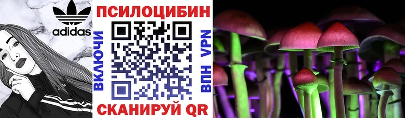 Псилоцибиновые грибы ЛСД Псков